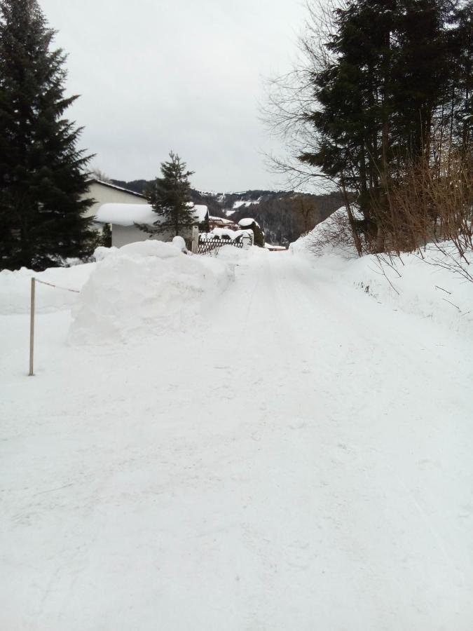 Apartment Anna Semmering